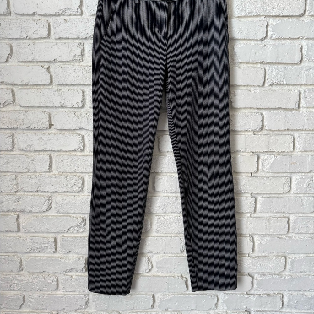 Express Columnist Ankle Pants